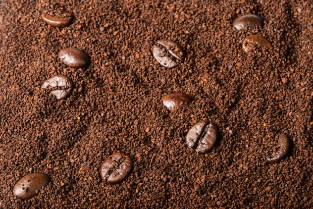 coffee beans and coffee powder