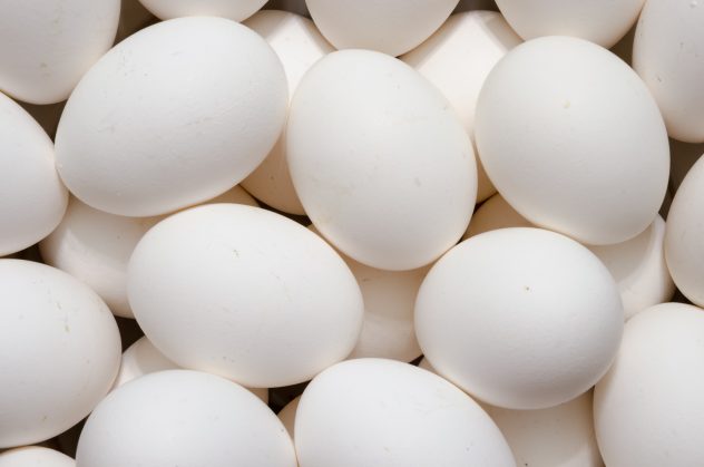 White Eggs Background