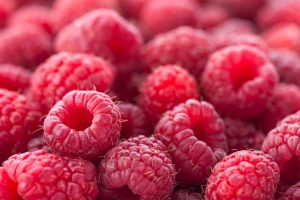 Ripe red raspberries. Very shallow depth of field. Large file size. berries berry