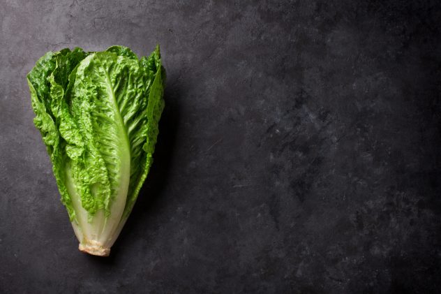 Romaine lettuce salad