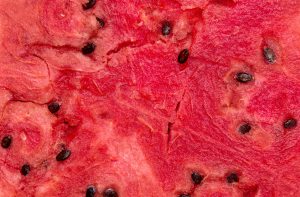 watermelon as background