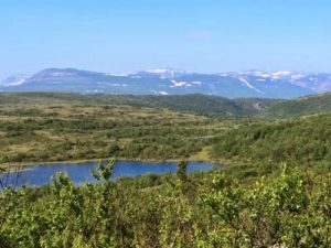 Stabbursdalen ja tunturijärvet. Matkapäivät 7 ja 8. Thumbnail for 50851