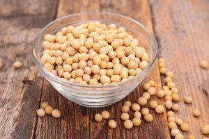 soy bean