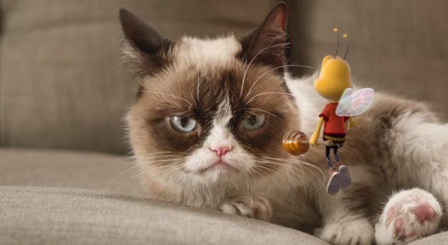 grumpycat