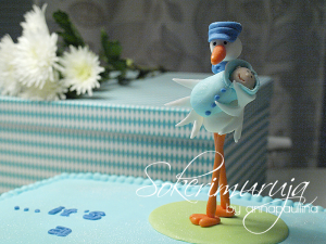 Haikara & pieni poikavauva nimijuhlakakun päällä. Thumbnail for 52283