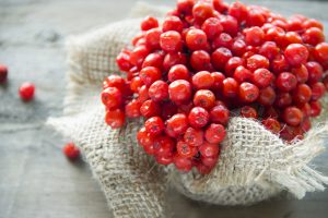 Pihlajanmarjat red berries