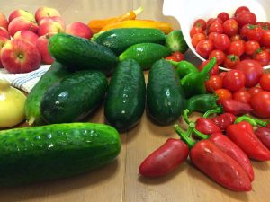 Kesä 2014 Koiviston kasvimaalla Thumbnail for 57534