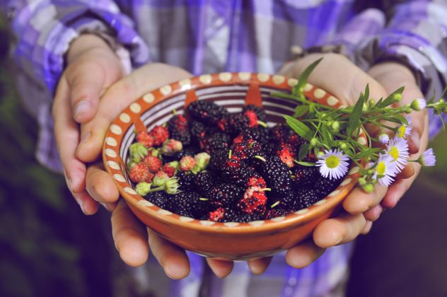 berries berry bowl hands