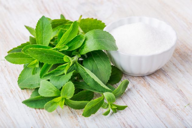 stevia sugar