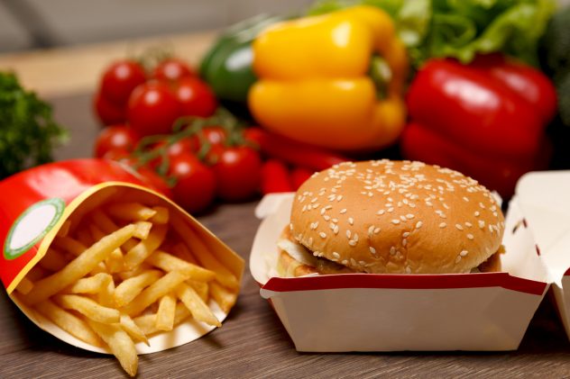 hamburger fries