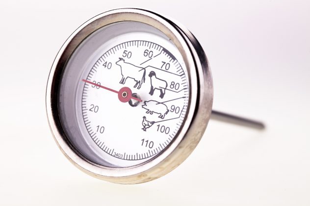 thermometer meat
