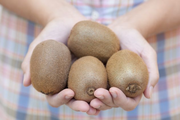Kiwi fruit in woman’s hand
