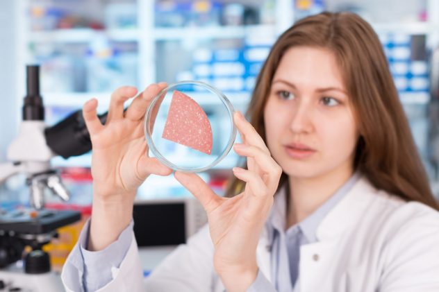 meat cold cut science