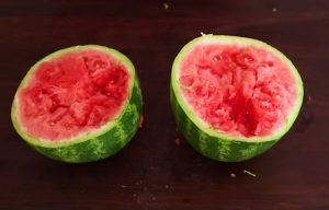 Toimivatko kuuluisat hedelmätemput oikeasti? melonitemppu