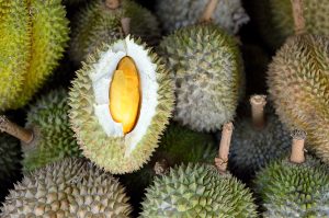 Group of durian in the market… fruit