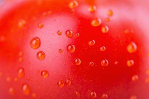 tomato closeup