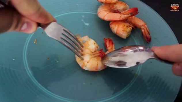 shrimp