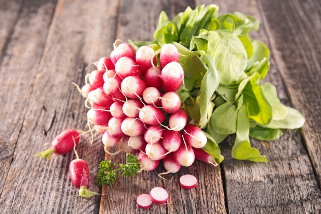 radish vegetables