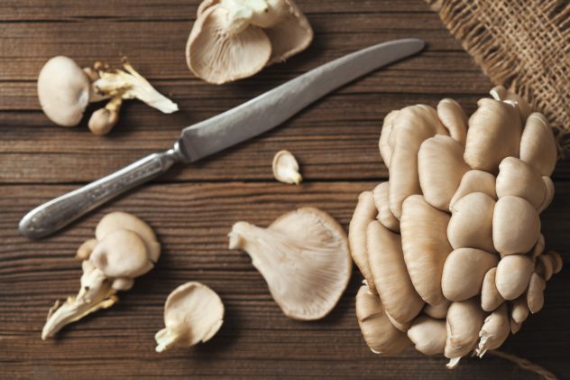 mushroom