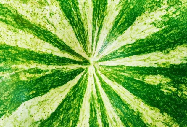 Texture striped watermelon