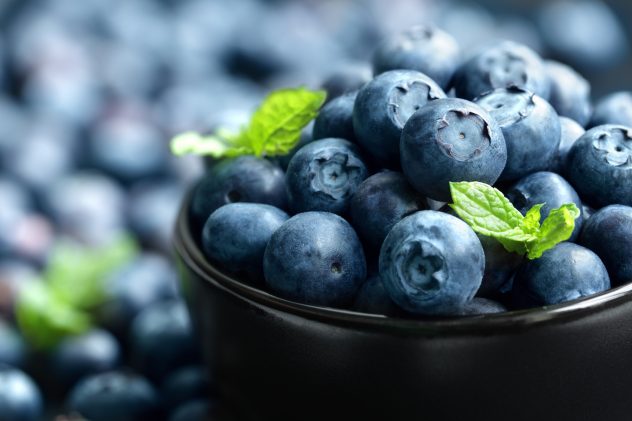 Blueberry blueberries berries