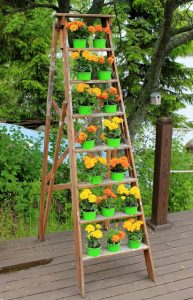 Kukkaset tikapuilla Thumbnail for 80606