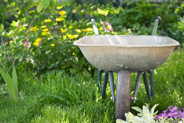 wheelbarrow in the garden