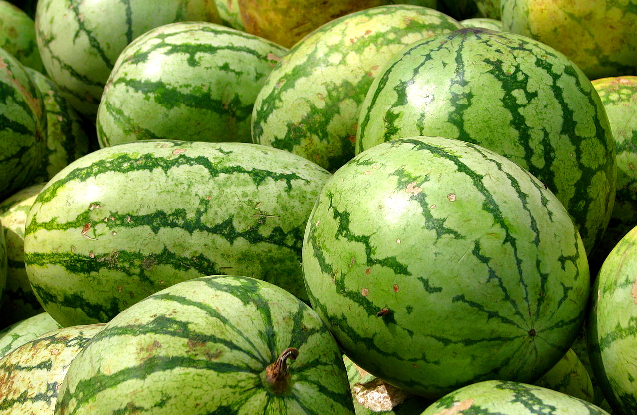 1280px-India_-_Koyambedu_Market_-_Watermelons_07_(3987063506)