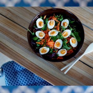 TBT: POTKU PERSUKSILLE Thumbnail for 96483