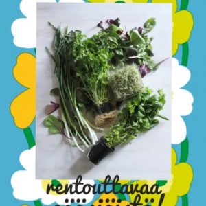 Thumbnail for 100080