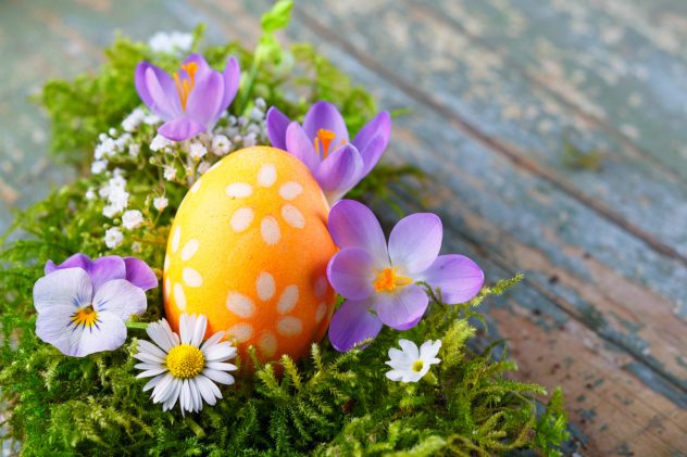 Ostern – Osterei im Nest mit Moos und Blten