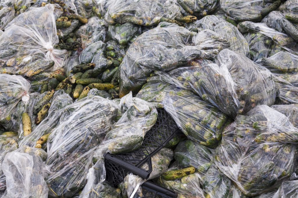 Rotten cucumbers in plastic sacks on the landfill.