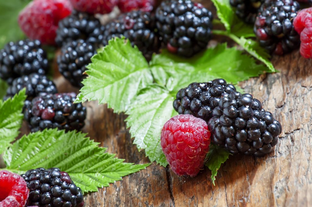 Fresh ripe raspberries and blackberry with large leaves on the old wooden table, selective focus
