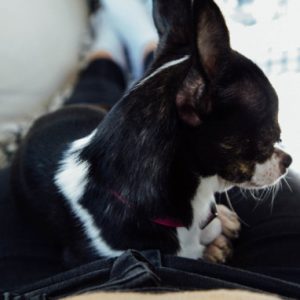 Thumbnail for 100823