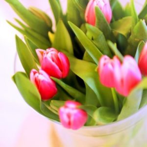 Thumbnail for 101283