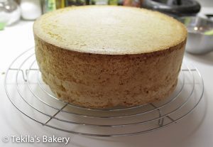 Thumbnail for 101289