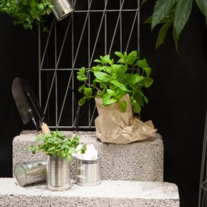 Thumbnail for 101301