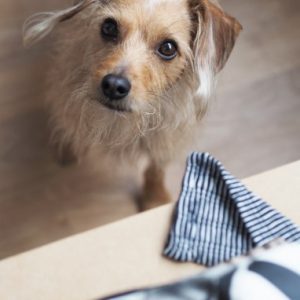 Thumbnail for 101702