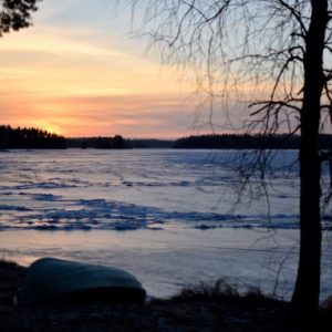 Thumbnail for 101832