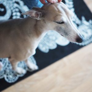 Thumbnail for 101945