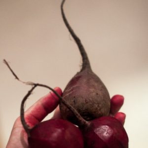 Thumbnail for 102350