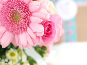 Thumbnail for 102426