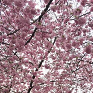 Thumbnail for 102576