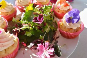 Thumbnail for 103357