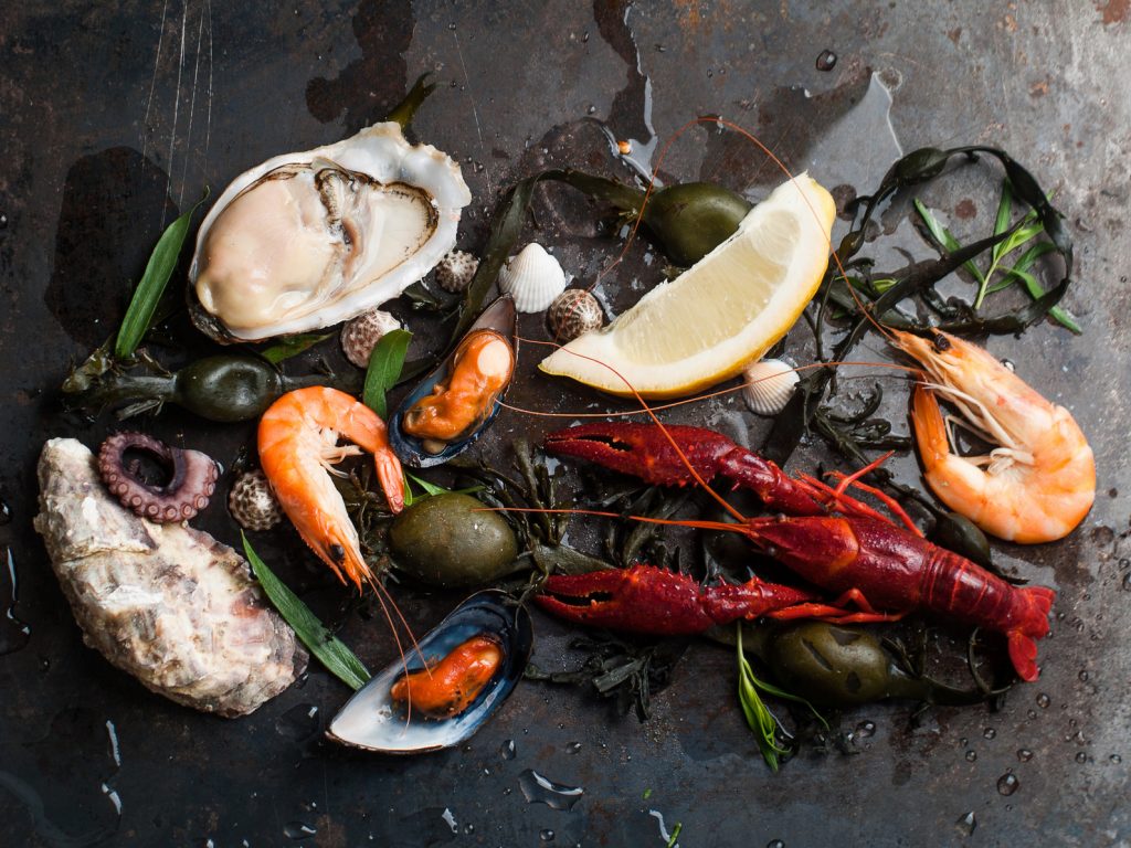 Delicious fresh seafood on dark vintage background, selective focus