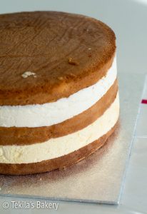 Thumbnail for 103563