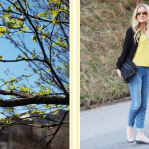 Thumbnail for 103608