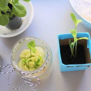 Thumbnail for 103727