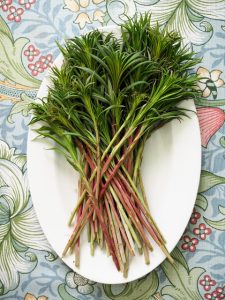 Thumbnail for 104370