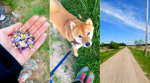 Thumbnail for 104914